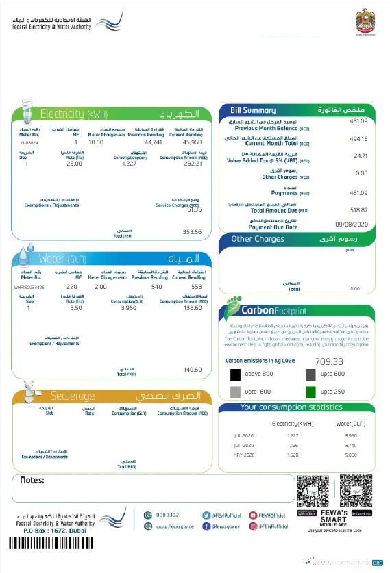 download UAE DUBAI FEDERAL ELECTRICITY & WATER AUTHORITY utility bill Word and PDF template PDF template
